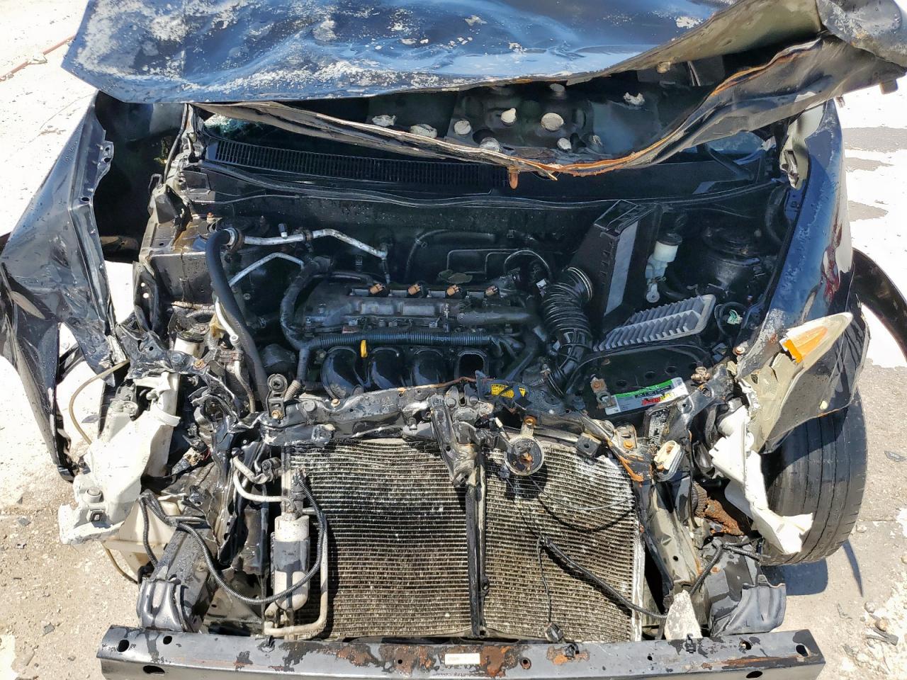 2005 Pontiac Vibe VIN: 5Y2SL63845Z430833 Lot: 65523815