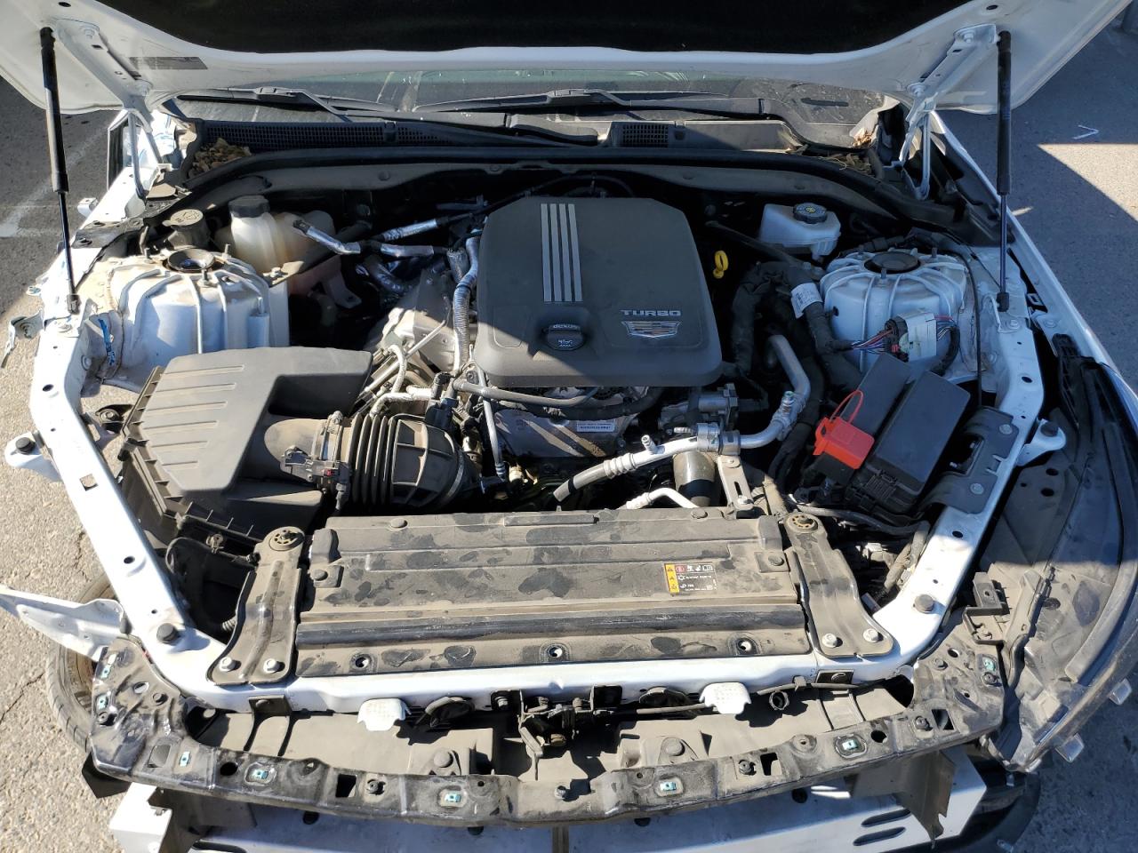 2024 Cadillac Ct5 Luxury VIN: 1G6DW5RK0R0124190 Lot: 63875205