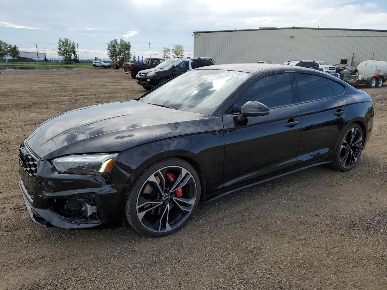 2023 Audi S5 Prestige VIN: WAUB4CF53PA054220 Lot: 66512195
