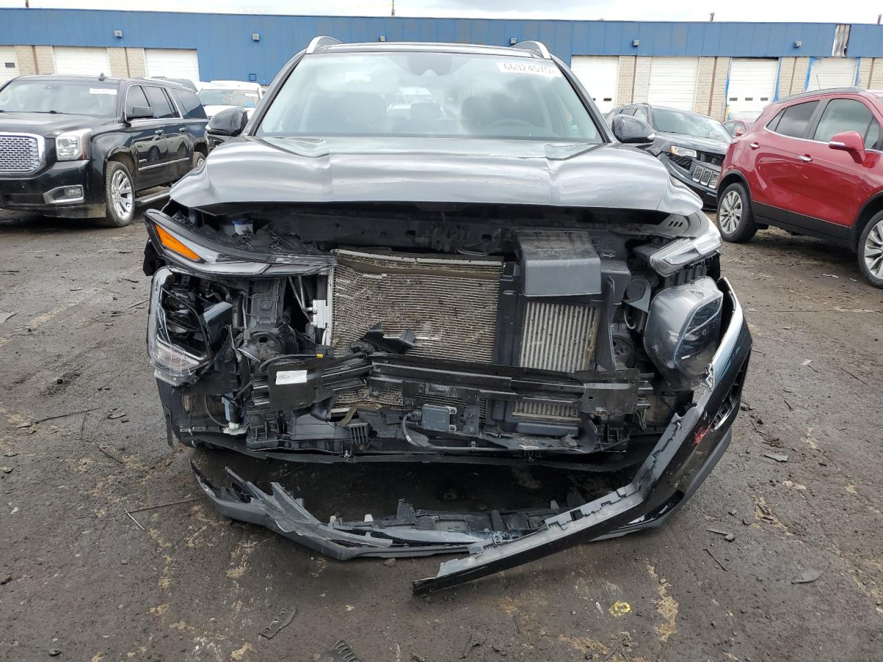 2020 Hyundai Santa Fe Sel VIN: 5NMS3CAA5LH273559 Lot: 66324575