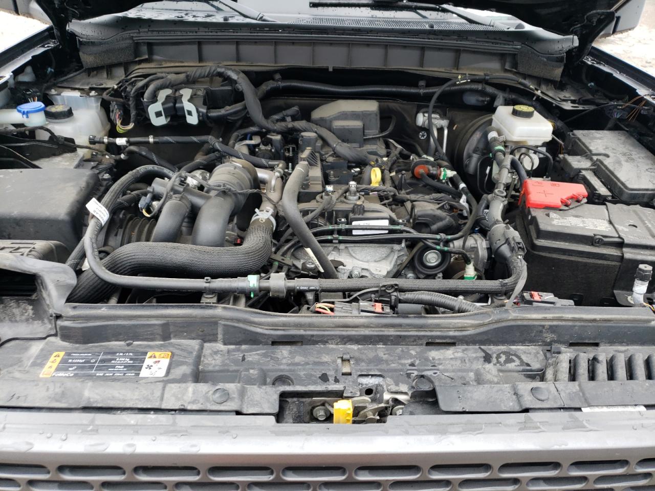 2023 Ford Bronco Base VIN: 1FMEE5DHXPLB22325 Lot: 64448575