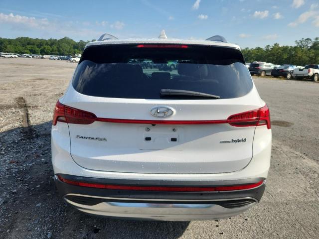  HYUNDAI SANTA FE 2023 Белы