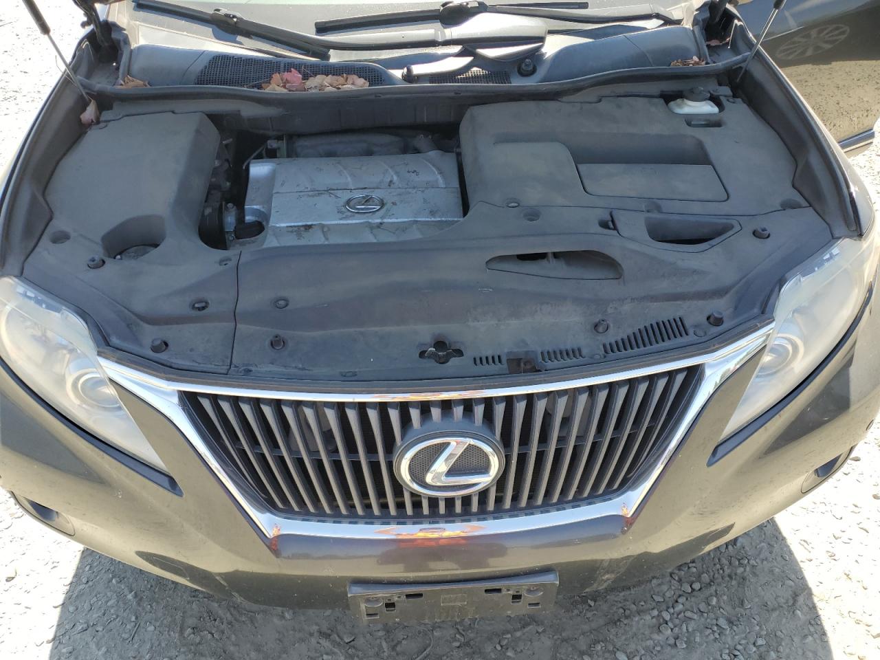 2010 Lexus Rx 350 VIN: 2T2BK1BA9AC052597 Lot: 64794975