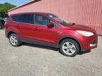 2014 FORD ESCAPE SE   for sale at Copart ON - LONDON
