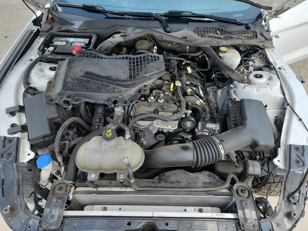 2021 Ford Mustang VIN: 1FATP8UH4M5106165 Lot: 63320955