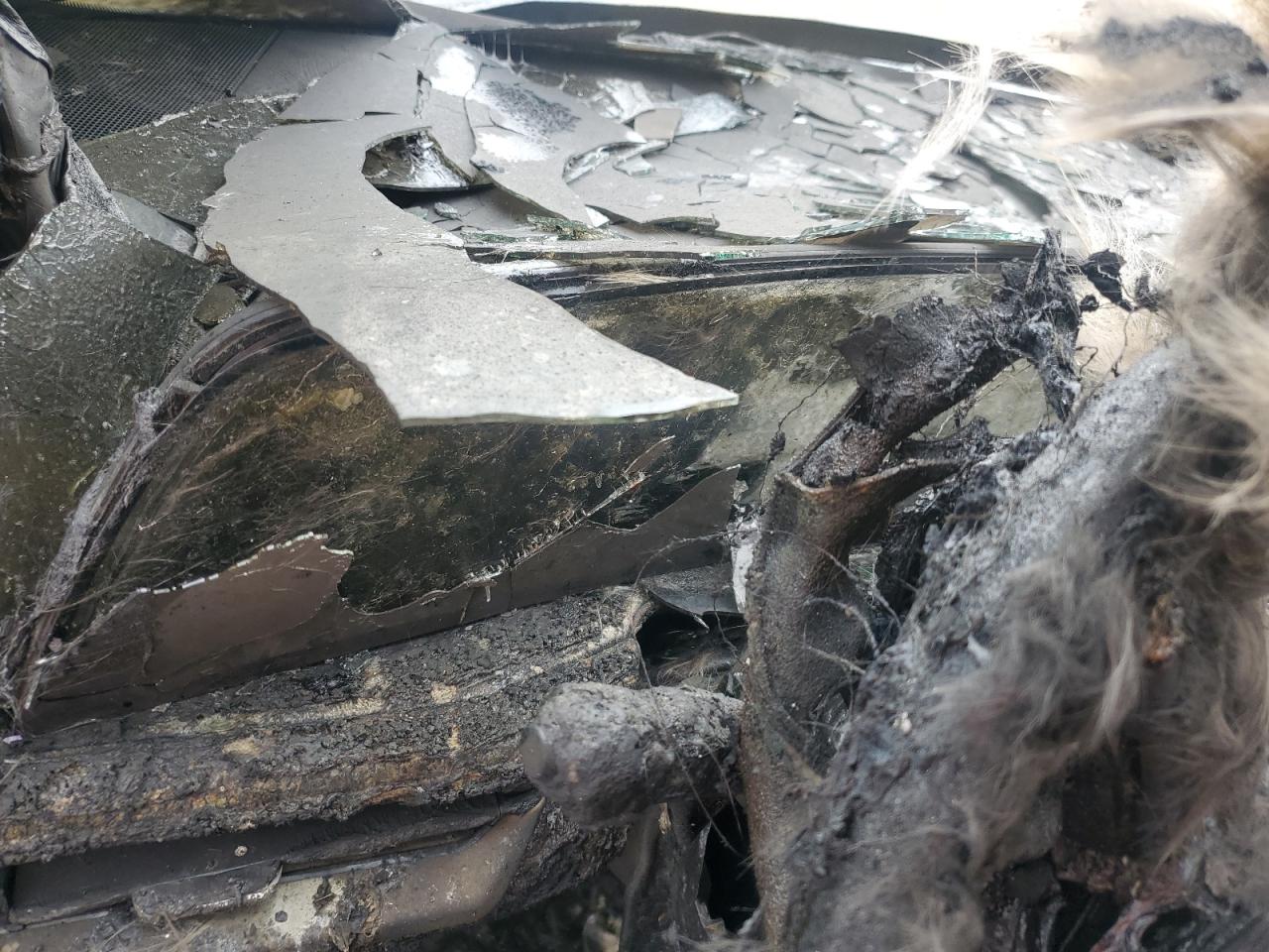 2024 Cadillac Xt4 Premium Luxury VIN: 1GYFZCR44RF252782 Lot: 69357465