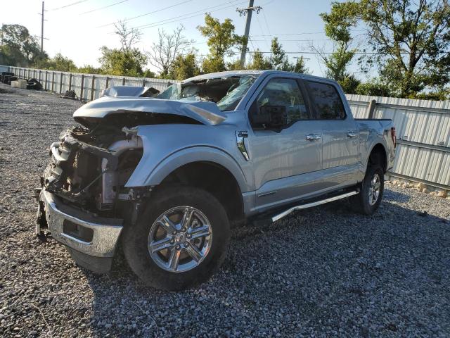 2024 FORD F150 XLT   for sale at Copart FL - TAMPA SOUTH