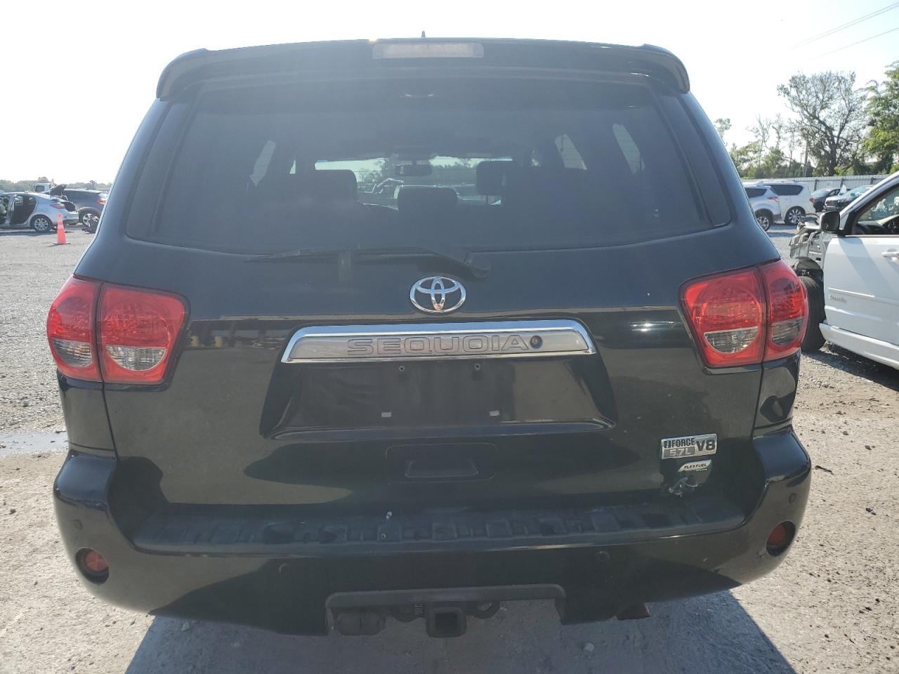 2013 Toyota Sequoia Platinum VIN: 5TDDW5G10DS084979 Lot: 66496215