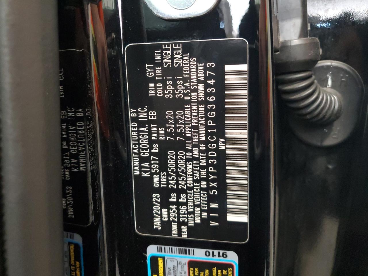 2023 Kia Telluride Ex VIN: 5XYP3DGC1PG363473 Lot: 63987265