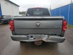2008 DODGE RAM 1500 ST   for sale at Copart NB - MONCTON