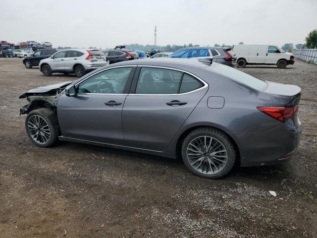 Sedans ACURA TLX 2017 Gray