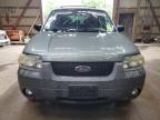 2007 FORD ESCAPE XLT   for sale at Copart ON - LONDON