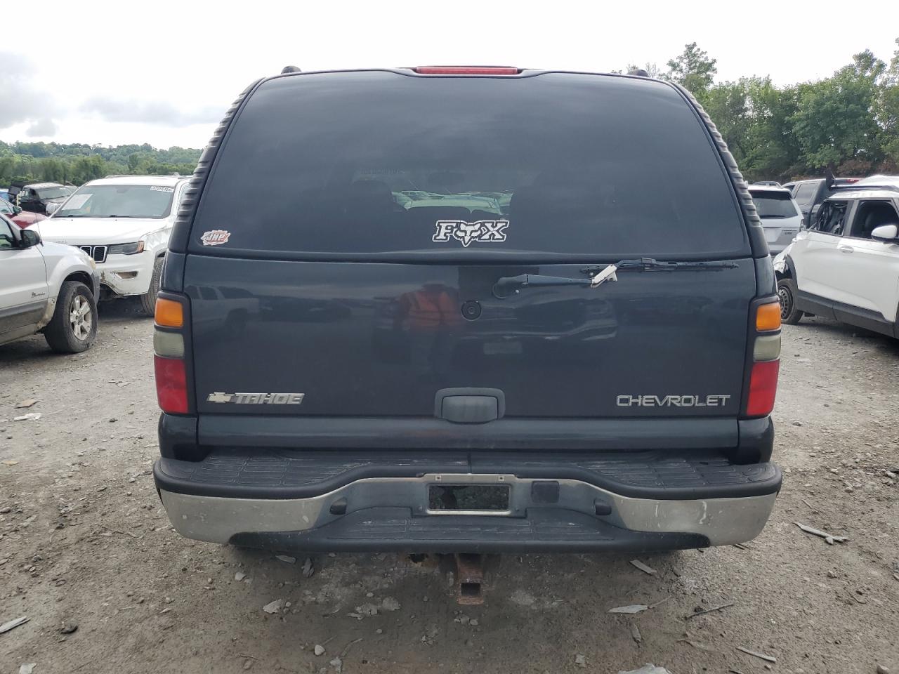 2004 Chevrolet Tahoe K1500 VIN: 1GNEK13V84J287687 Lot: 67053015