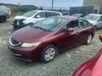 2013 HONDA CIVIC LX   for sale at Copart NS - HALIFAX