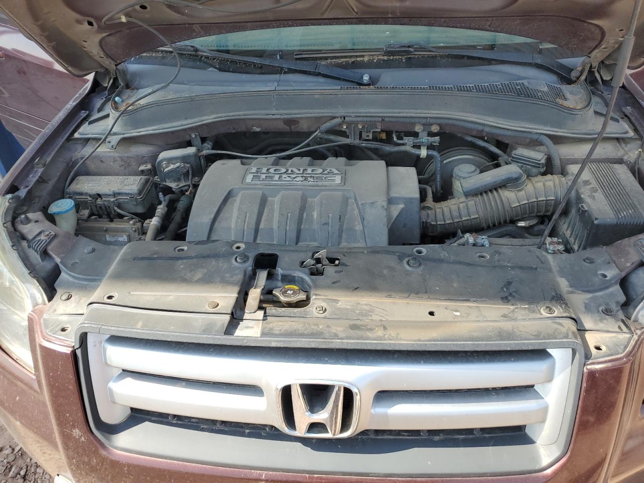 2007 Honda Pilot Exl VIN: 5FNYF28677B032266 Lot: 64326375