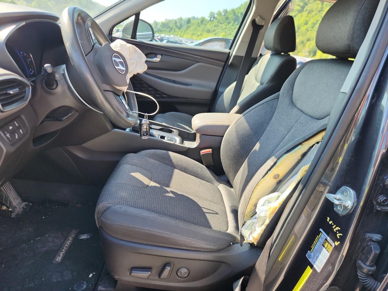 2020 Hyundai Santa Fe Sel VIN: 5NMS3CAD6LH238720 Lot: 63556775