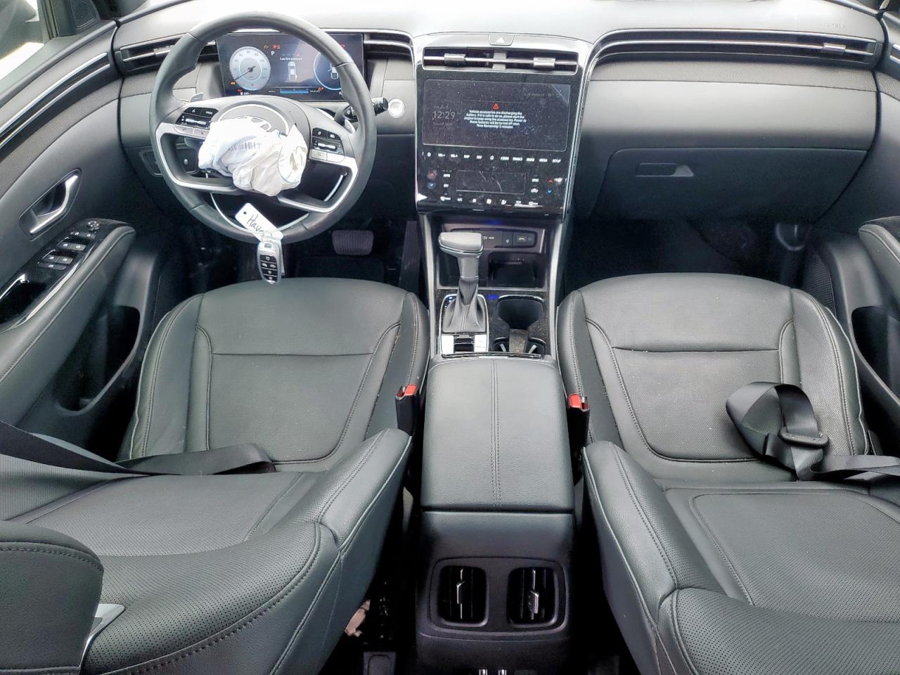 2024 Hyundai Santa Cruz Limited VIN: 5NTJEDDF1RH120452 Lot: 64766425