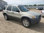 2005 FORD ESCAPE XLT   for sale at Copart AB - EDMONTON
