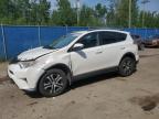 2017 TOYOTA RAV4 LE   for sale at Copart NB - MONCTON