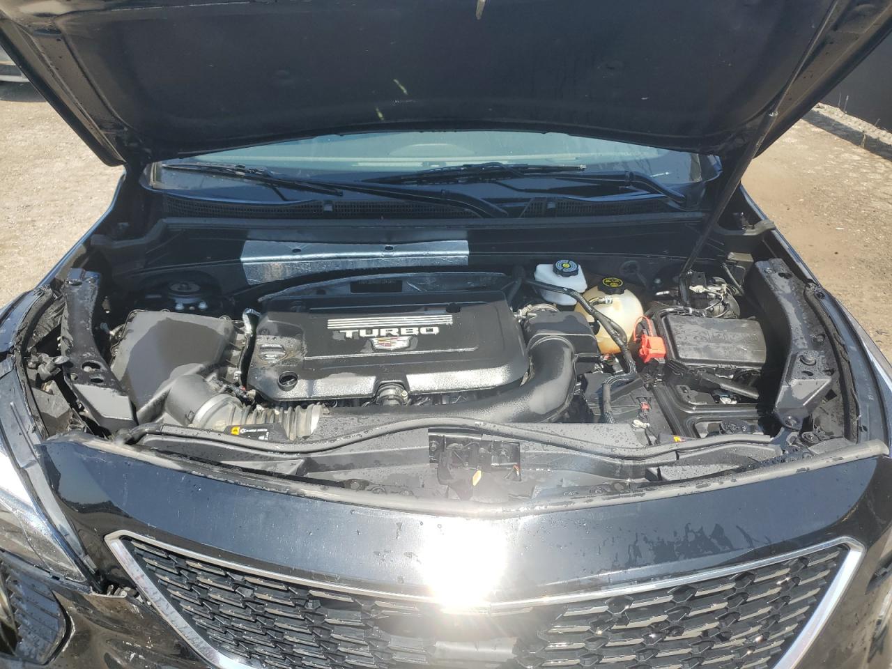 2023 Cadillac Xt4 Premium Luxury VIN: 1GYFZCR4XPF134104 Lot: 64824835