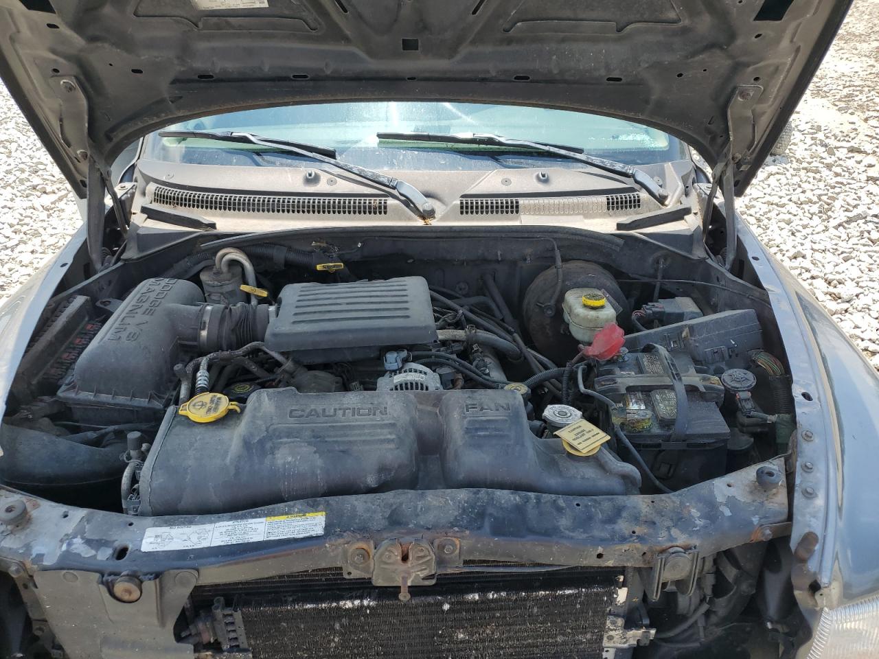 2003 Dodge Dakota Slt VIN: 1D7HL42N03S207741 Lot: 94123405