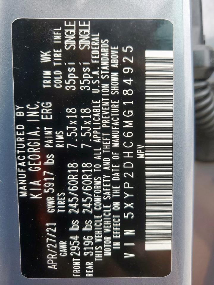 2021 Kia Telluride Lx VIN: 5XYP2DHC6MG184925 Lot: 65449725