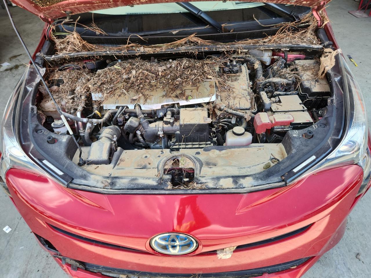 2017 Toyota Prius VIN: JTDKARFU1H3529617 Lot: 64621715