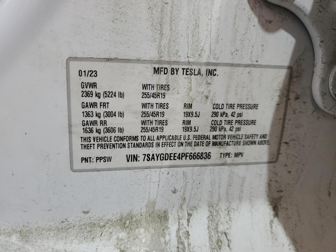 2023 Tesla Model Y VIN: 7SAYGDEE4PF666836 Lot: 64551095