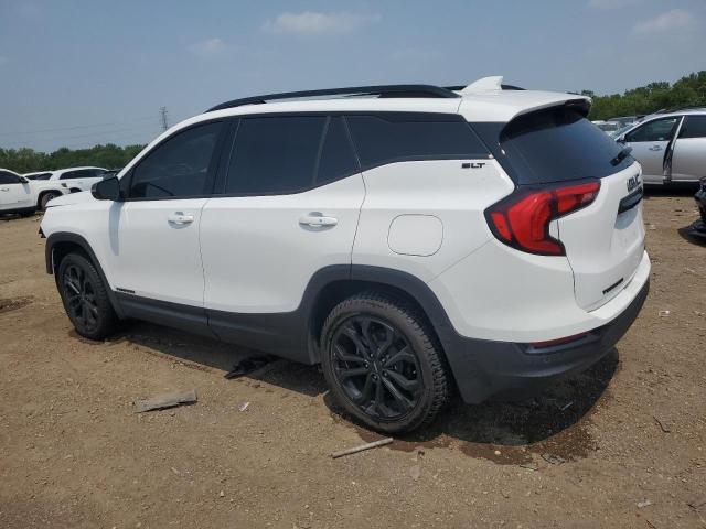  GMC TERRAIN 2020 Білий