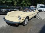 1982 ALFA ROMEO VELOCE 2000 SPIDER   à vendre chez Copart MA - SOUTH BOSTON