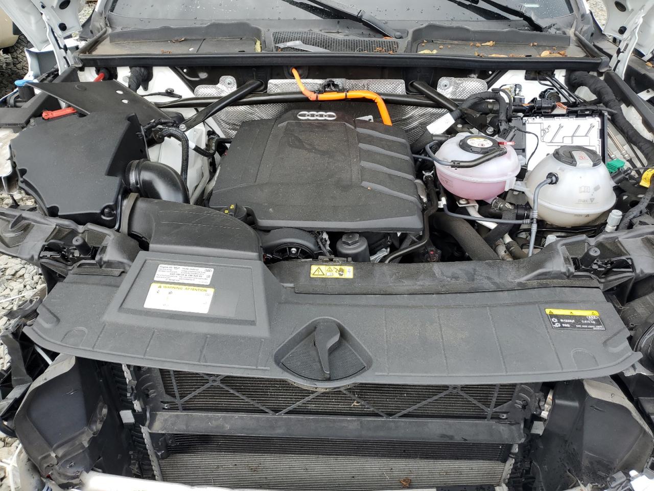 2021 Audi Q5 E Premium Plus VIN: WA1E2AFY7M2031480 Lot: 64247555