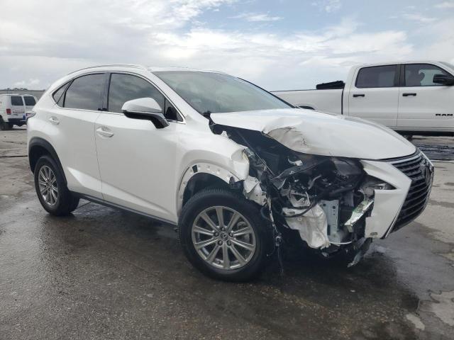  LEXUS NX 2020 Белы