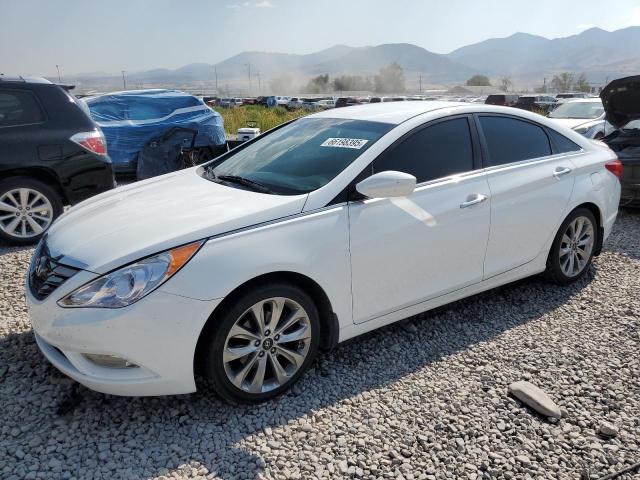  HYUNDAI SONATA 2013 Biały