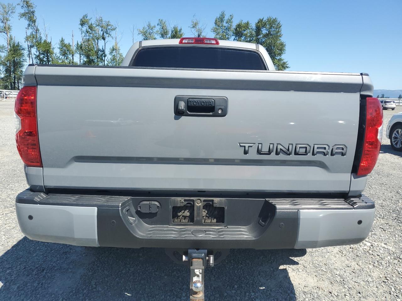 2020 Toyota Tundra Crewmax Limited VIN: 5TFHY5F12LX901164 Lot: 62688725
