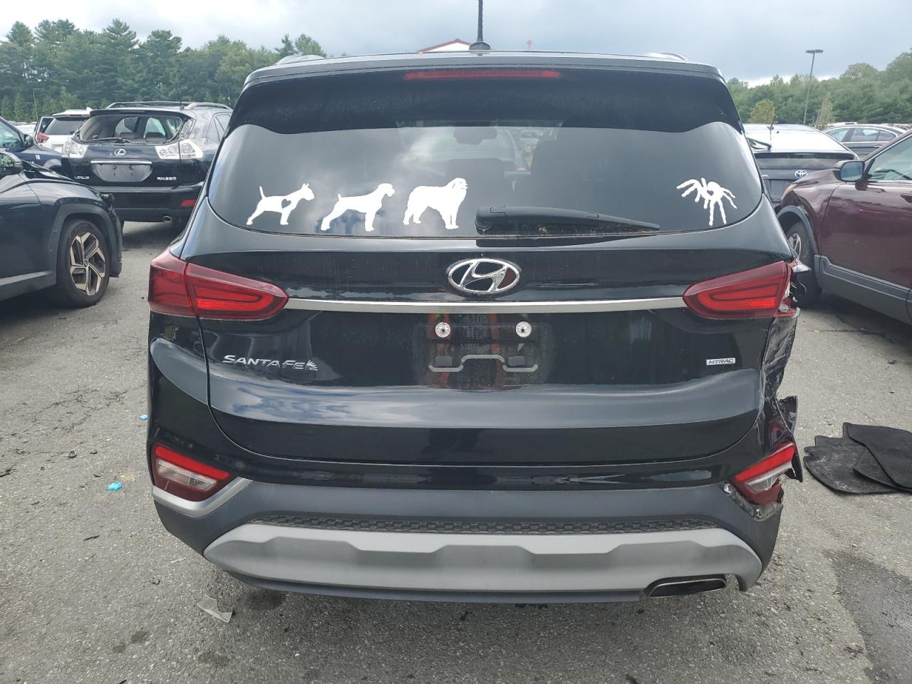 2020 Hyundai Santa Fe Se VIN: 5NMS2CAD7LH191748 Lot: 63730005