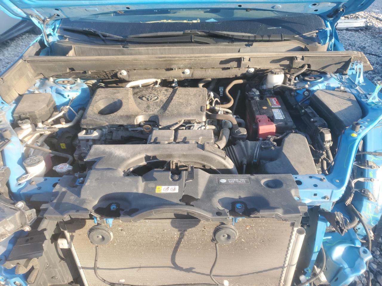 2021 Toyota Rav4 Xle VIN: 2T3W1RFV9MW124140 Lot: 65734425