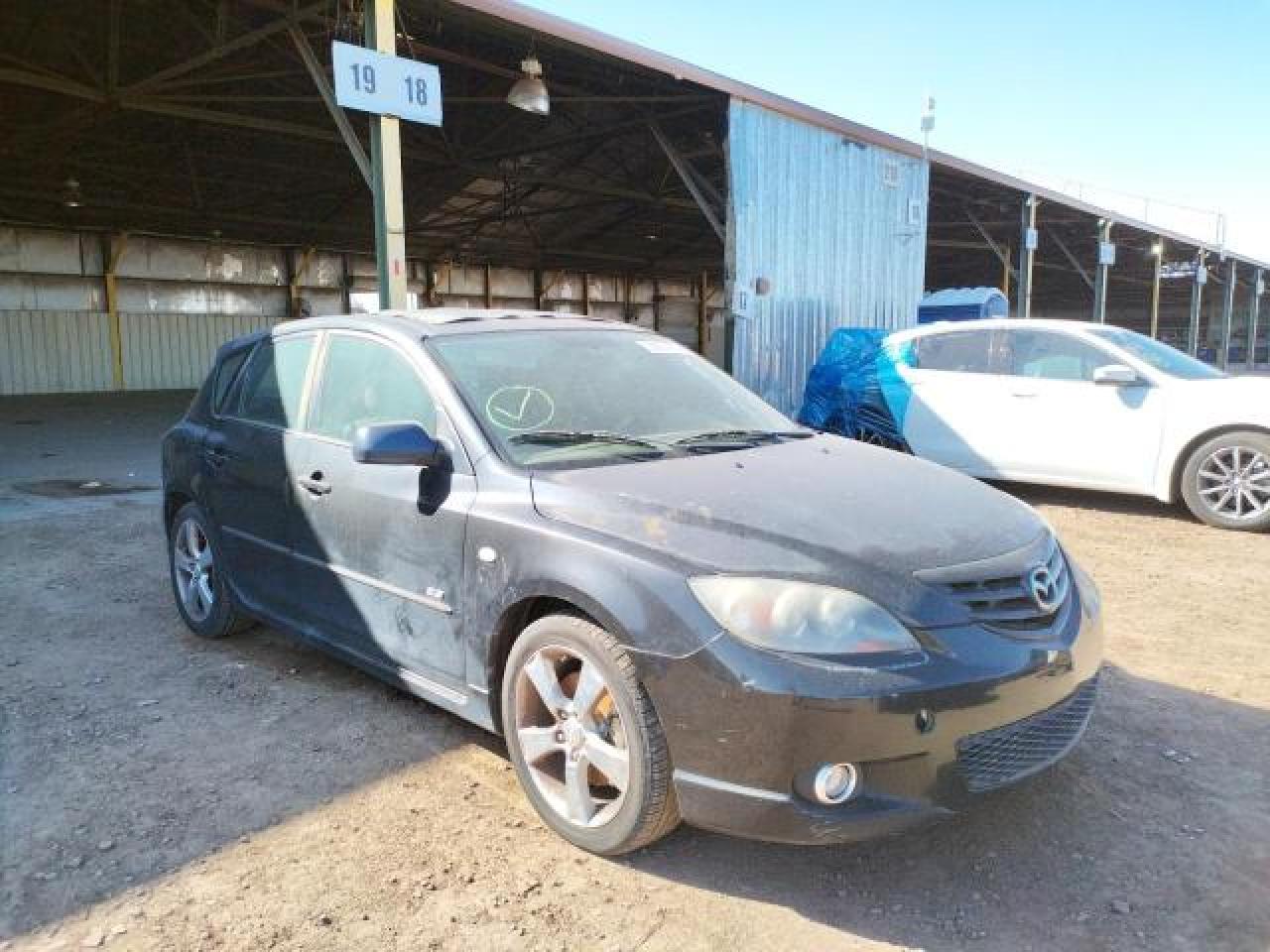 2004 Mazda 3 Hatchback VIN: JM1BK143X41211719 Lot: 66542845