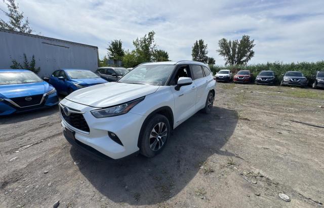  TOYOTA HIGHLANDER 2020 Biały