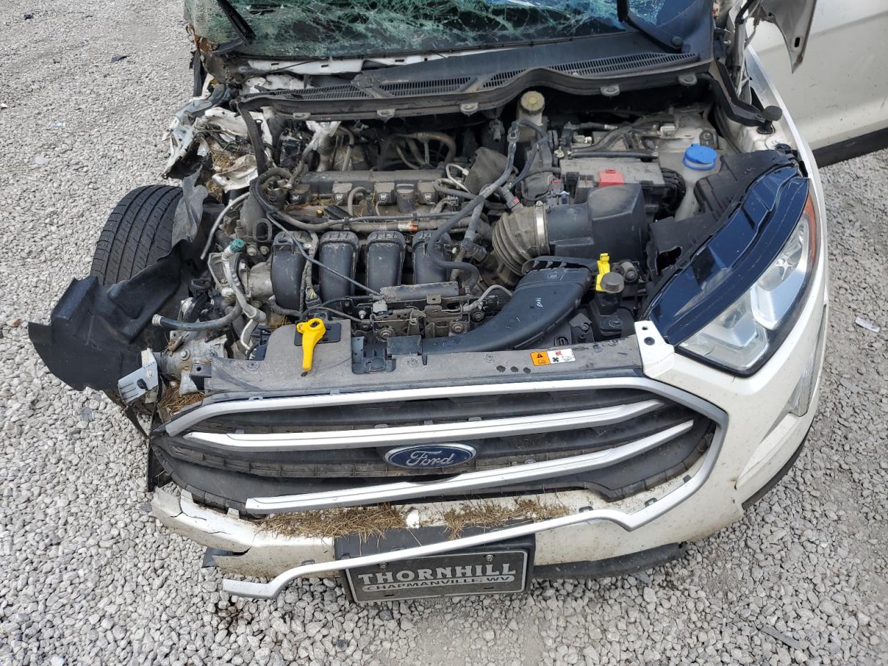 2020 Ford Ecosport Se VIN: MAJ6S3GL6LC364602 Lot: 64756935