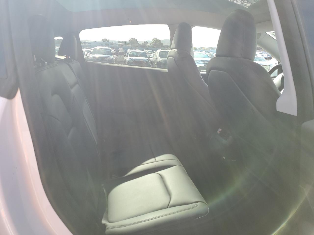 2023 Tesla Model Y VIN: 7SAYGDEE0PA096864 Lot: 64566225