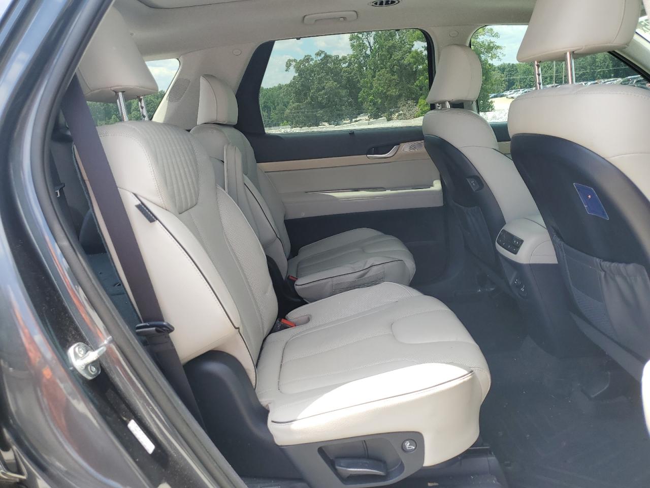 2024 Hyundai Palisade Limited VIN: KM8R54GEXRU749827 Lot: 63017135