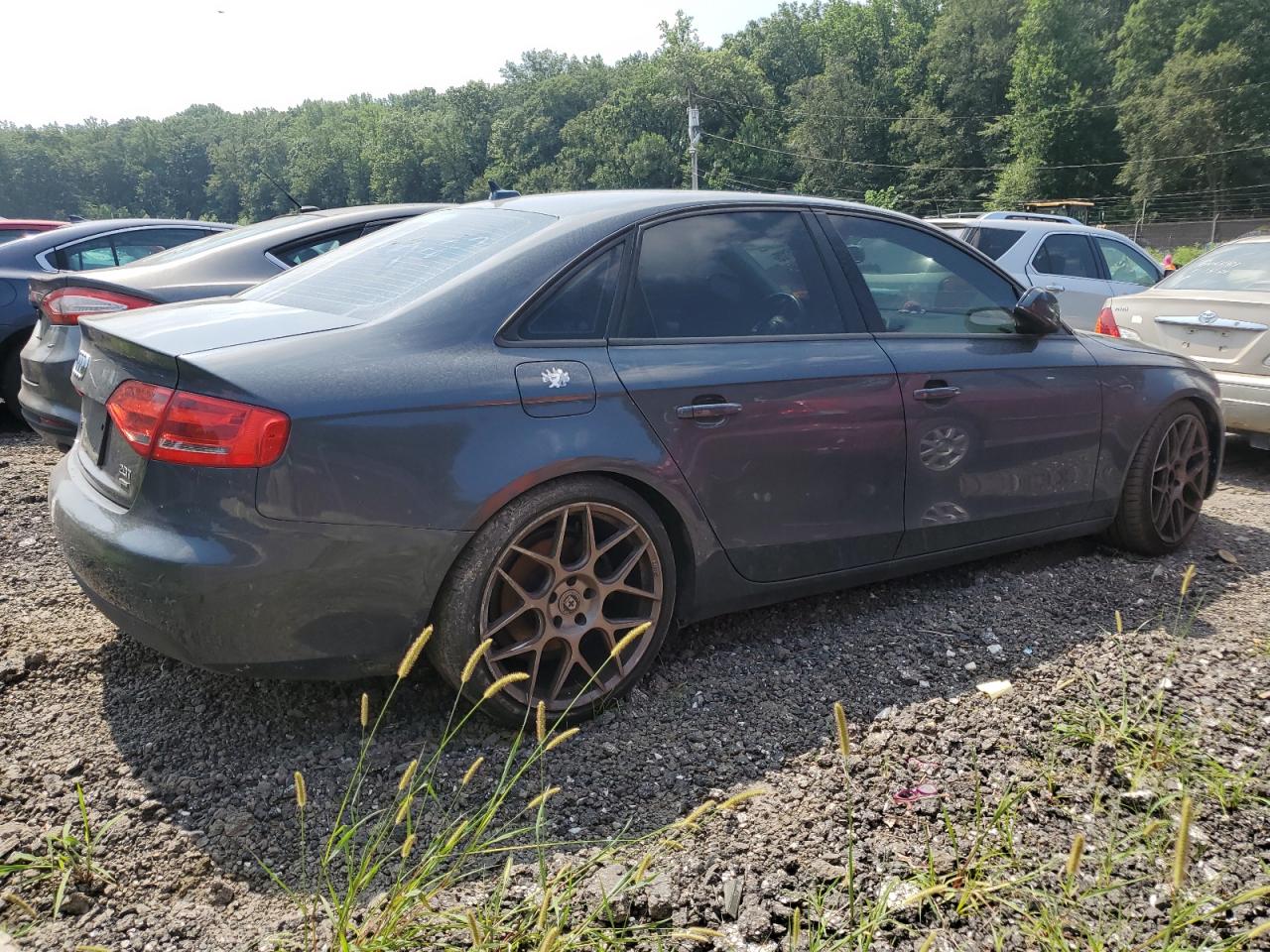 2010 Audi A4 Premium VIN: WAUBFAFL4AN019585 Lot: 66285125