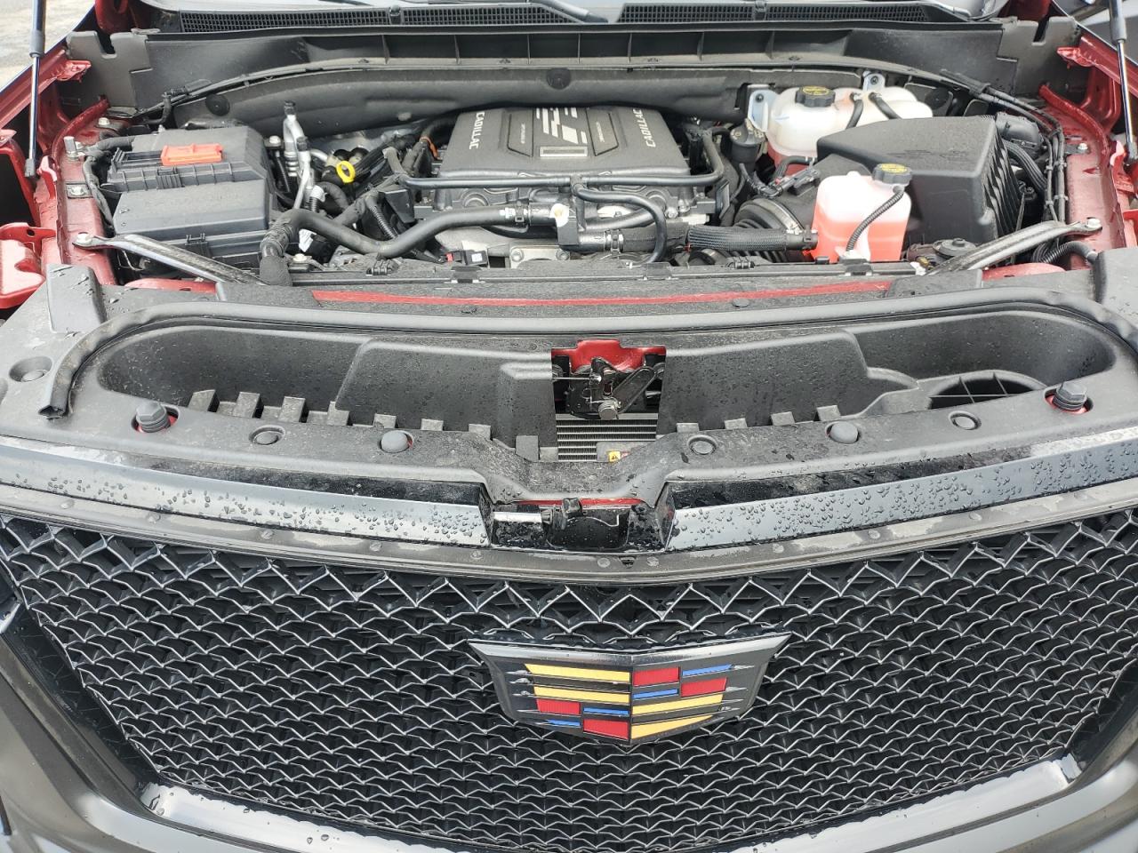 2024 Cadillac Escalade V VIN: 1GYS4HK95RR353389 Lot: 67067495