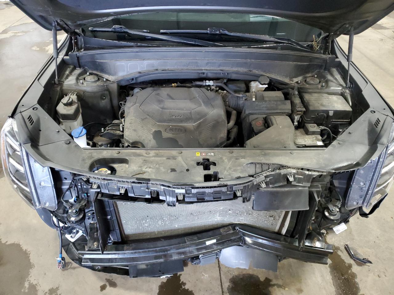 2020 Kia Telluride Sx VIN: 5XYP5DHC0LG079707 Lot: 65153395