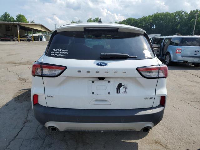  FORD ESCAPE 2020 Белы