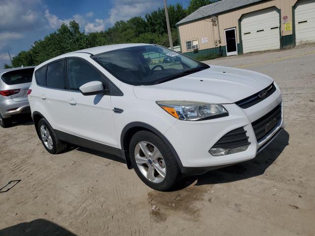 Паркетники FORD ESCAPE 2015 Белы