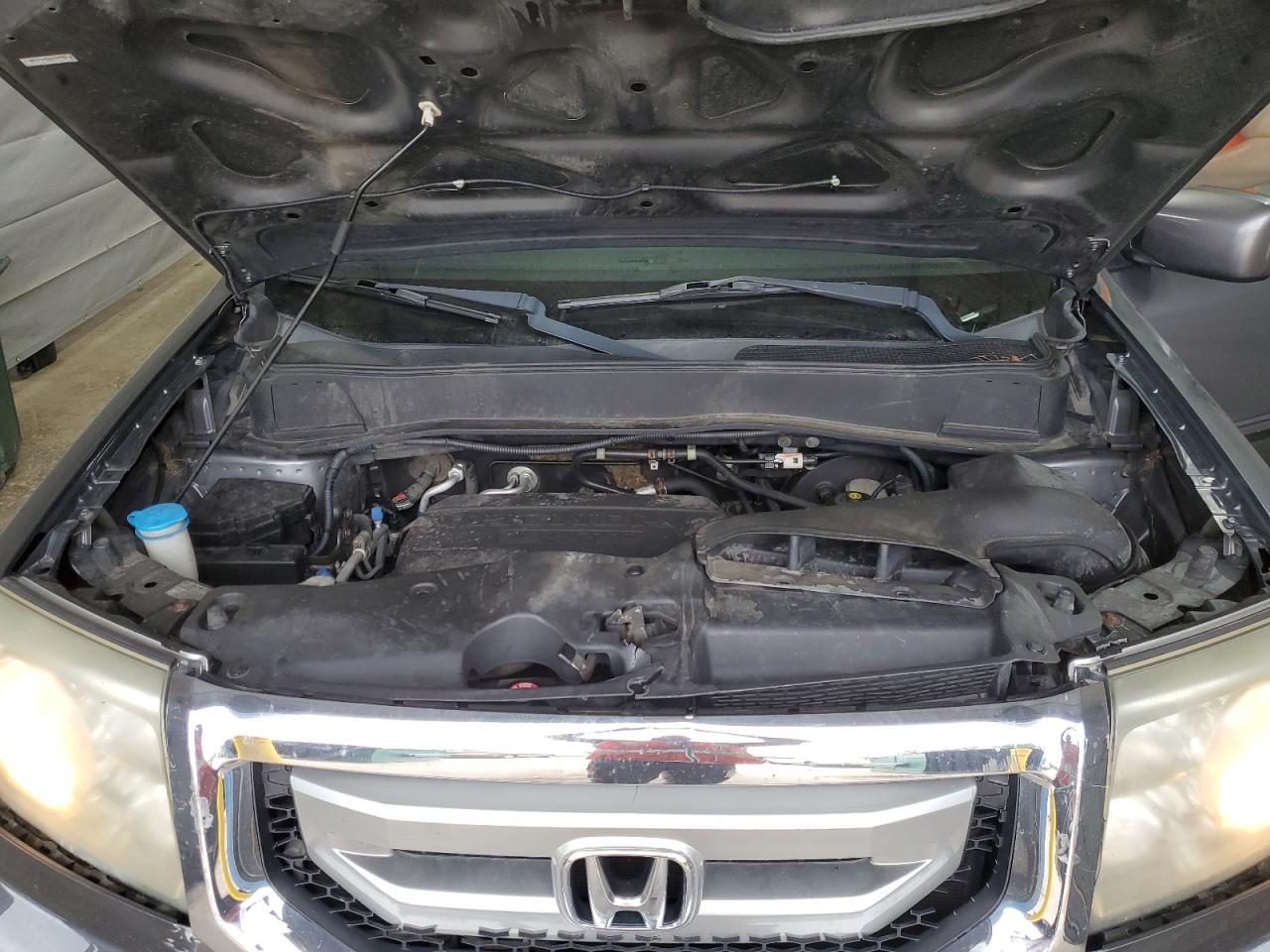 2011 Honda Pilot Exl VIN: 5FNYF4H51BB087923 Lot: 62879325