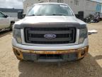 2014 FORD F150 SUPERCREW   for sale at Copart AB - EDMONTON