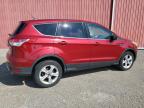 2014 FORD ESCAPE SE   for sale at Copart ON - LONDON