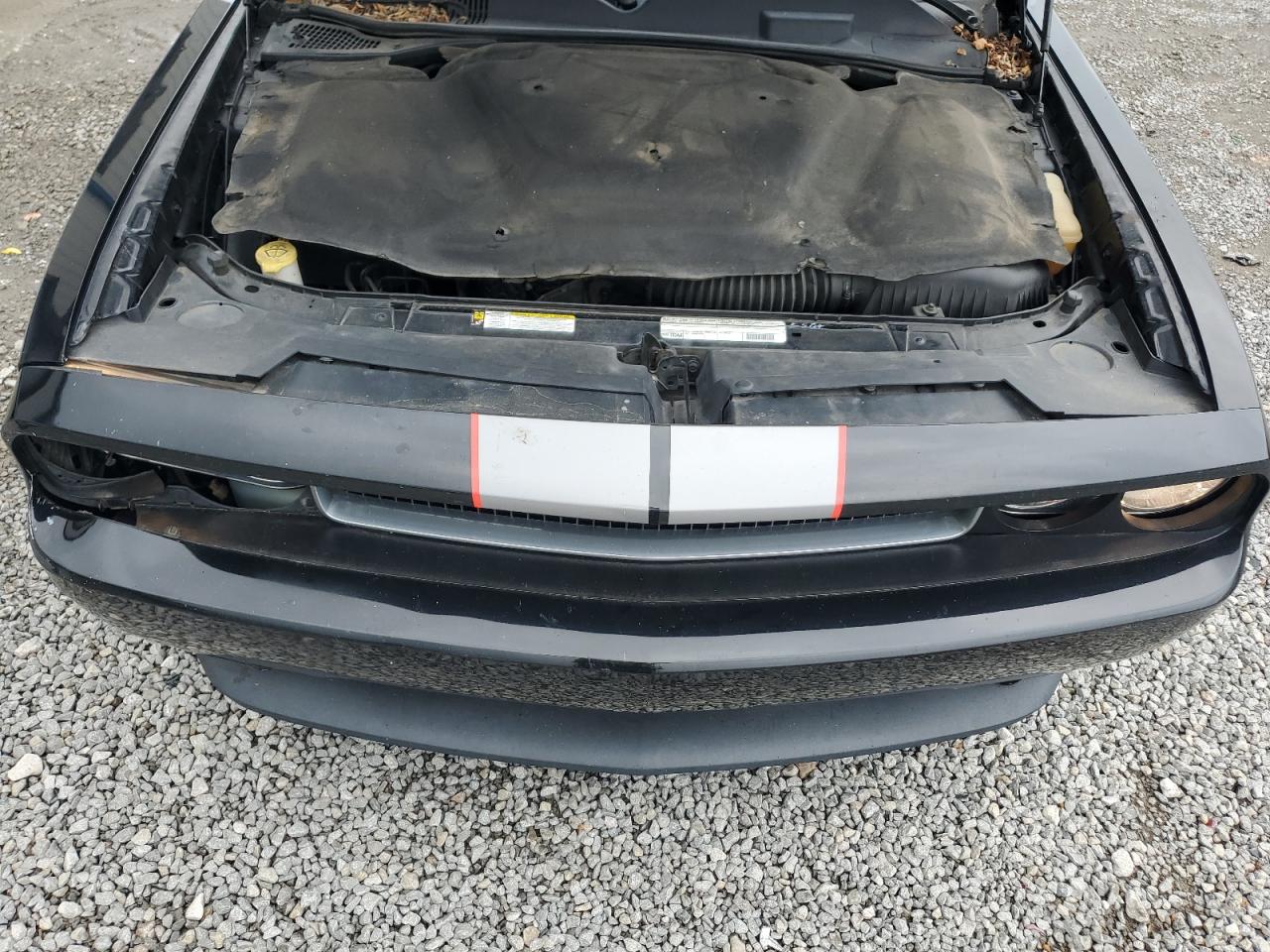 2011 Dodge Challenger VIN: 2B3CJ4DG2BH570297 Lot: 64010175